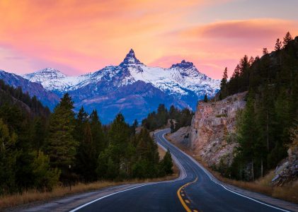 Innovation Strategy. Patent Services