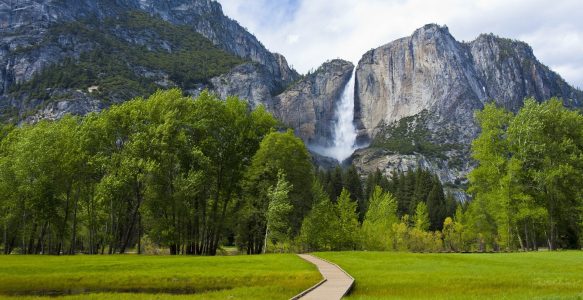 Forge Your Ideas. Defend Your Future.