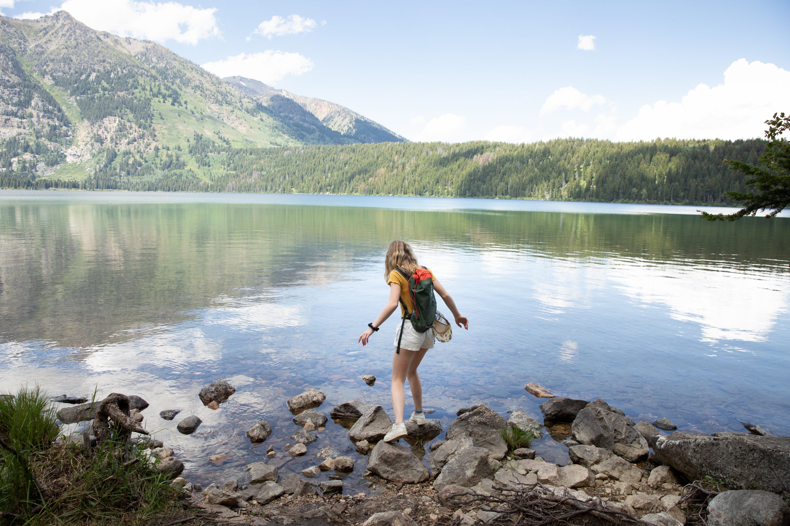 Forge and Function Patents